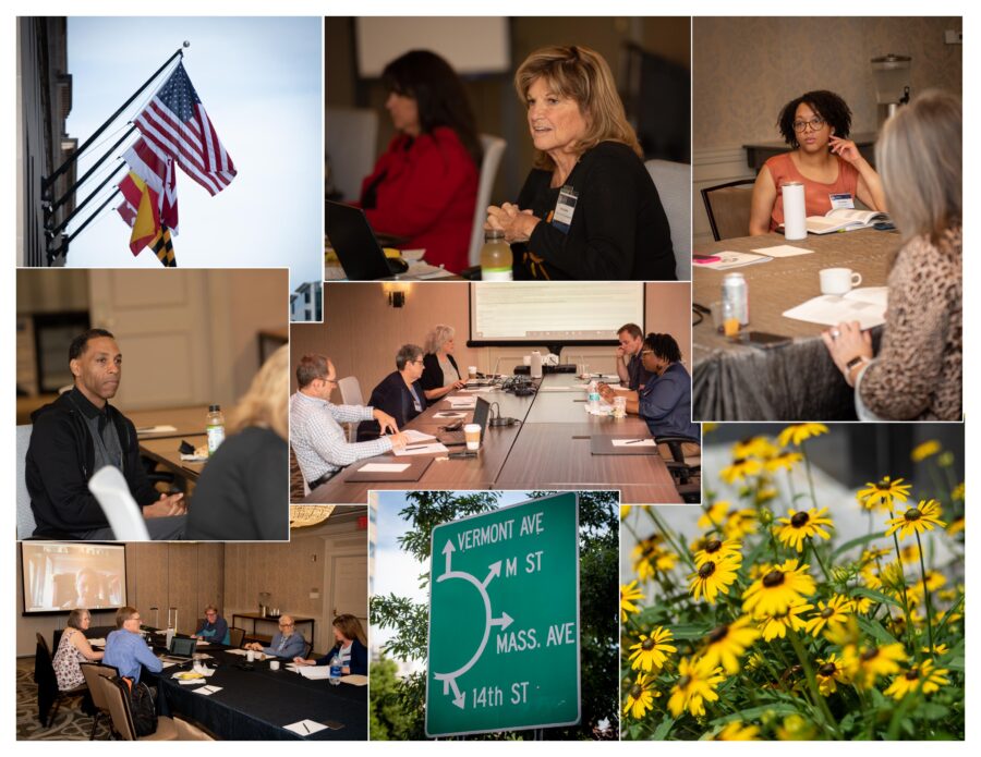 Collage of photographs of commitees meeting at conference tables