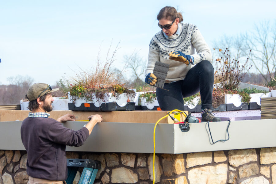 Photo of workers placing plants as part of a green roof on a stone building