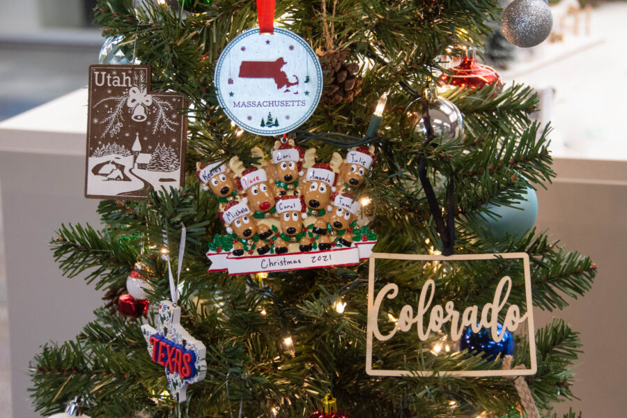 Photograph of ornaments hanging on a tree.